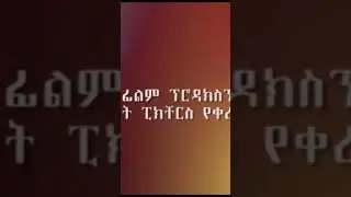 Selam Tesfaye-Yelib quanqua