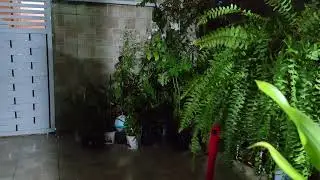 Muita chuva nessa noite 