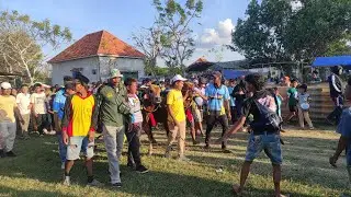 Para Pemenang Lomba Karapan Sapi Pemilhan Tingkat Kab Sampang. 