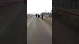 Ursi de la bahna arini 2018 spre autorizatie