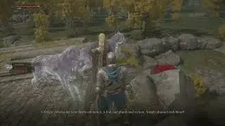 Elden Ring - Meeting Kenneth Haight (Dialogue)