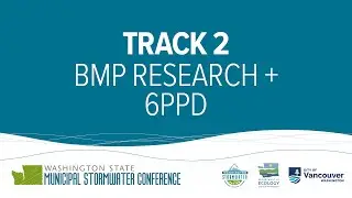 6PPD-Q: Stormwater Research, Methods Development, and Emergent Policies
