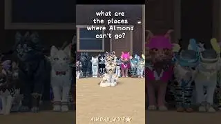 да, поехали на Марс.. | WCUE MEME | w/filmcrew | ib:@cloud.wcuee #warriorcats #roblox #wcue #fyp
