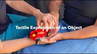 Tactile Exploration of an Object