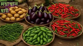 বিখ্যাত সবজির হাট বগুড়ার মহাস্থান হাট। Famous vegetables haat in Mahasthangarh Bogura।Rk Haat Bazar।
