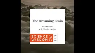 The Dreaming Brain: Unlocking the Secrets of Lucid Dreaming&nbsp;- Charlie Morley