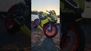 Acid Gold aprilia RS660