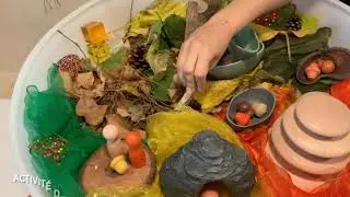 Activit&eacute; : Inspiration minimonde automnal