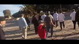 The Temple Must be Magnificent TORAH on The Temple Mount Har HaBayt