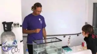 BIOS Water Acidity Research
