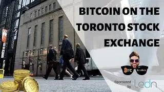 Bitcoin Fund On Toronto Stock Exchange | Blue Wallet Adds HodlHodl | Novogratz Eyes $20K in 2020