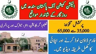 Election Commission of Pakistan Jobs 2023 | ECP Jobs 2023 | Sindh Jobs