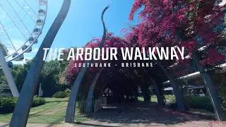 Brisbane Instagrammable Spots: Arbour Walkway | South Bank [2024]