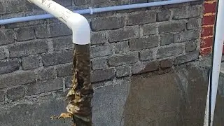 BIOGAS/GOBARGAS SLURRY PLANT #subcriber #biogas #biogasplant #cowdung #gobargas #gobargasplant