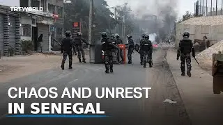 Chaos in Senegal as Opposition Party Dissolved and Protests Escalate