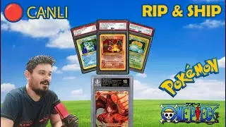 🔴 RIP & SHIP - Abi azcik paket acalim! Pokemon & One Piece