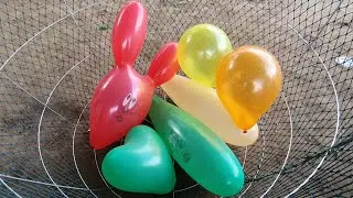 outdoor fun with balloon pop popping balloons learn colours balloon - episode_196