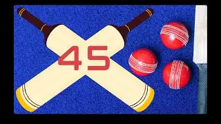 Cricket Bat 45 Second Timer with Music