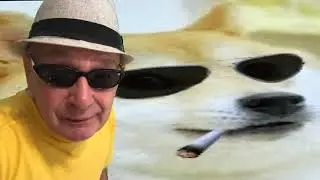 Doge;Vaping and Smoking    ;Ray Sipe;Comedy;Parody