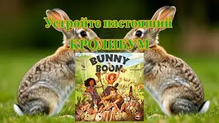 Настольная игра Bunny Boom (2025) - играем на BGA /Boardgamearena