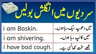 60 Daily English Sentences and Vocabulary in Urdu for Winter| voice of Tayyba