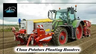Cloon Potatoes planting potatoes with the Fendt 724 Gen 7 & Grimme kit