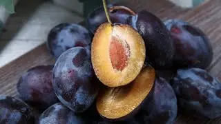 Продам сливу Стенли. Качество сетевое, имеется объём.