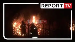 Report TV -Zjarr n&euml; nj&euml; parcel&euml; rrushi n&euml; Berat, policia n&euml; k&euml;rkim t&euml; autorit