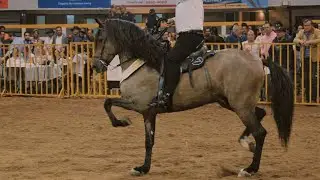  Rancho Nuevo 2025 | Tradición & Pasión Ecuestre  🔥🐴🇨🇷🇪🇸 Cierre de Temporada  .