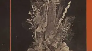 Tip of the Day: Landless - L&uacute;ireach (Glitterbeat)
