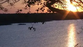 Late afternoon and sunset at the Pioneer dam in Mopani camp.