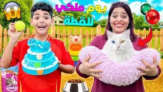 اخيرا… القطة الجديدة عاشت😻 اغلى يوم ملكي👑و شرينا ليها العاب🎉 (صرفنا 1.000 دولار🤑)