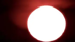 Recorded with nikon p1000 by me Scott thomas robertson from Ansonia Connecticut April 9 2024
