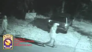 AA Fire Marshal Investigation