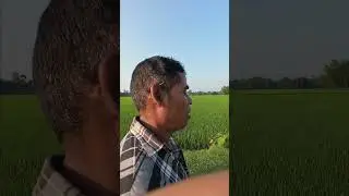dawat chana riyangaming chinga de