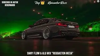 Dani flow , Alu Mix REGGAETON MEXA 🇲🇽 