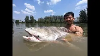 Awesome Chaophraya Catfish fights Thailand- Bkk Fishing Tour- BKKGUY