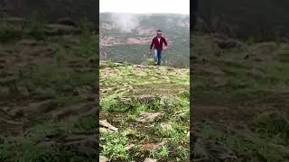 #family #travel #salalah #capitalcity #reelsvideo #nature #omani #muscatcity #beach #waterfall
