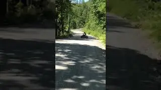 Atv & Rider Catch fire in bad accident