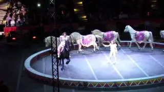 Horses at Ringling Bros Barnum Bailey Circus
