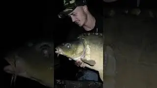 Une gravi&egrave;re qui me donne du fil &agrave; retordre&hellip; 🤯 #carpestyle #carp #carpfishing #fishing #fish #lake
