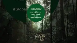 #Forest facts