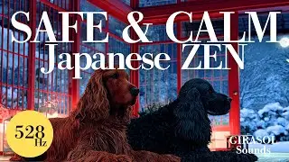 Bedtime Music for Dogs with Anxiety | Safe & Gentle | 11 Hours