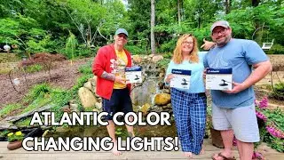 Best Color Changing LED Lights Install For DIY Backyard Waterfalls and Koi Pond!