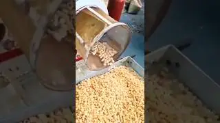 Roaster Machine|Chana roaster | Snacks machine | Puffed Rice Machine