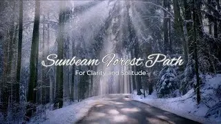🌲❄️ Sunbeam Forest Path &ndash; For Clarity, Solitude & Seasonal Presence 🌞🚶&zwj;♀️