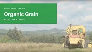 Slow Money Maine: Organic Grain Ecosystem