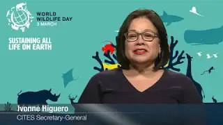 Message from CITES Secretary-General Ivonne Higuero for World Wildlife Day 2020