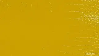Alligator Dark Golden Rod Millennium