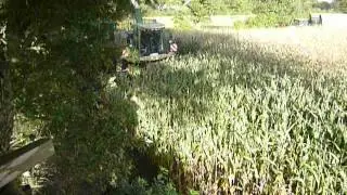 Krone Bix x am anschneiden